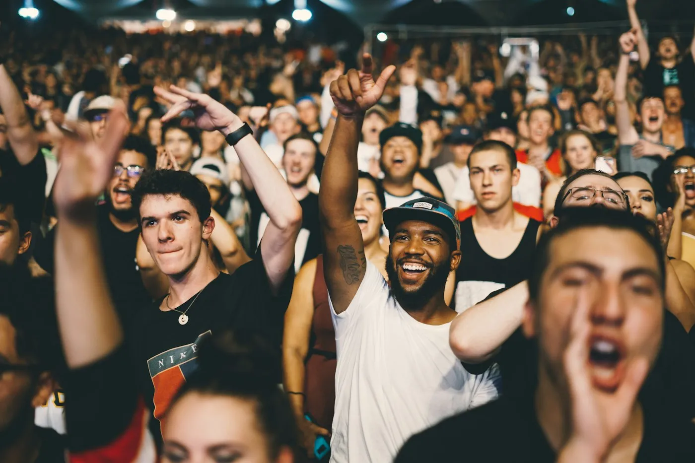 Fans cheering at a concert